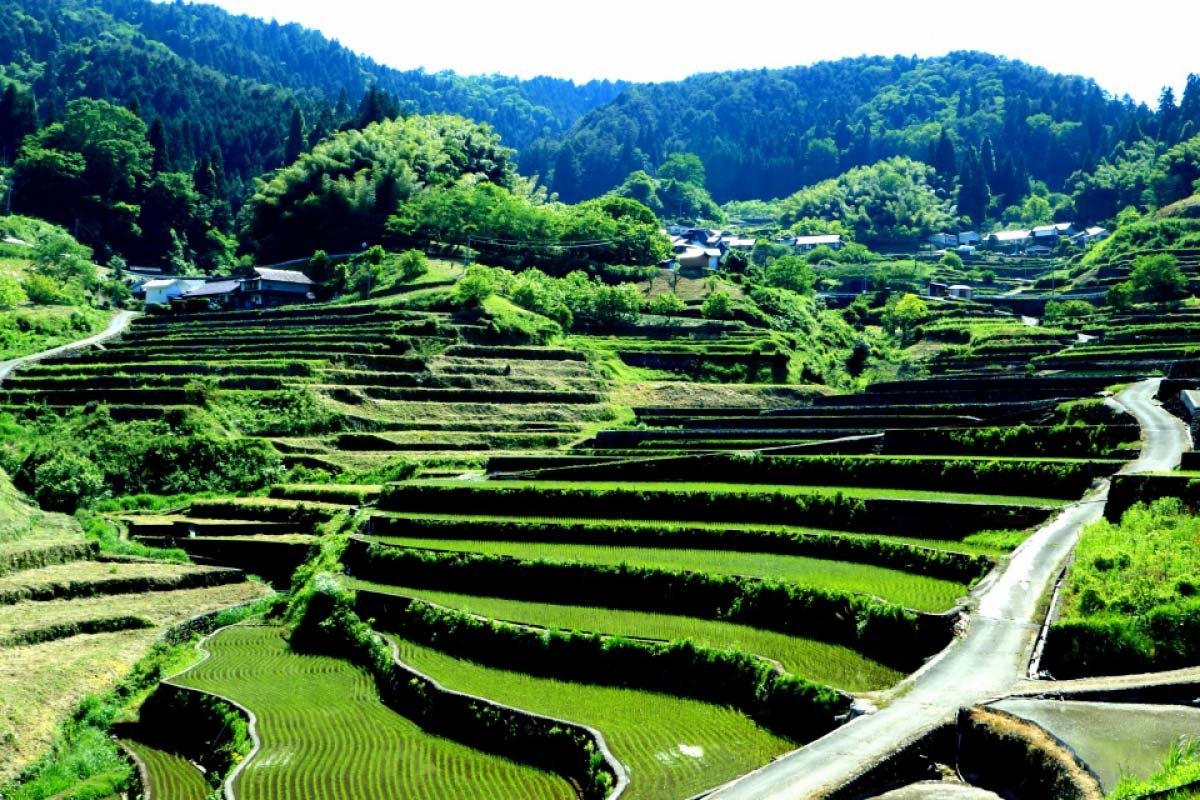 🏞️ 아카바네 자연관찰공원 (아카바네 시젠 칸사츠 코엔) 이미지 8